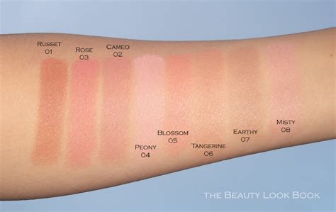 burberry earthy blush dupe|50 Best Dupes for Light Glow Natural Blush by Burberry .